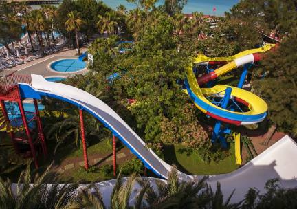 Delphin Botanik Platinum