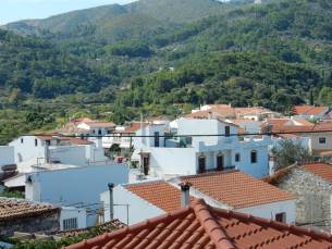 Appartement Aphrodite