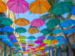 Creole Delight - Ontdek de smaken van Mauritius