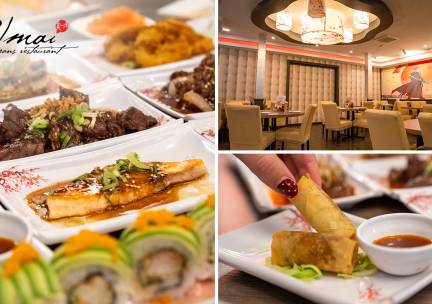 All-You-Can-Eat sushi en grill (3 uur) bij Japans Restaurant UMAI in hartje Delft