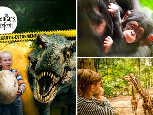 Entree voor DierenPark Amersfoort