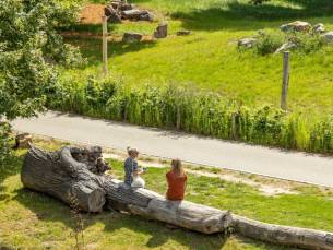 FLASHDEAL! ⚡ 3 dagen Zuid-Limburg incl. ontbijt, 1wandel- of fiets lunchpakket, 2diner & GRATIS routes!