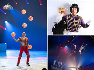 Tribune  Circus Chapito