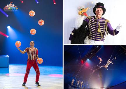 Tribune  Circus Chapito