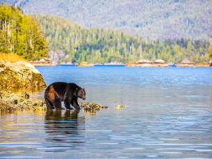 Unlimited Adventures