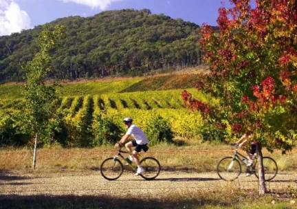 Priv&eacute; fietsreis De Douro Vallei