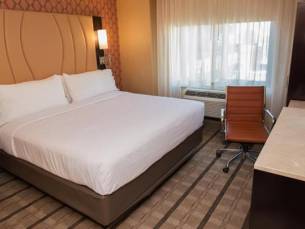 Hotel Holiday Inn New York City - Times Square
