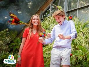 Entree Vogelpark Avifauna +speeltuin