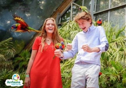 Entree Vogelpark Avifauna +speeltuin