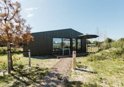 Cabin C21 Miko