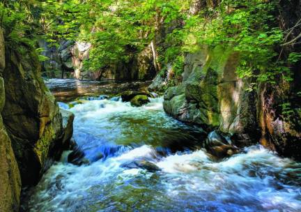 Ontdek de magie van de Harz: comfortabel hotel incl. ontbijt, dagelijks diner, GRATIS Hatix Harzer Card & MEER!
