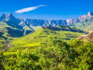 Leeuwen en Zuid-Afrikaanse Magie
