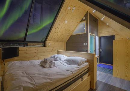 Star Arctic