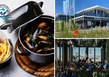Pannetje mosselen (1 kg) + friet + saus + zeewiersalade bij Waddengenot aan Zee