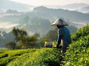 Discover Kleurrijk Maleisi&euml;