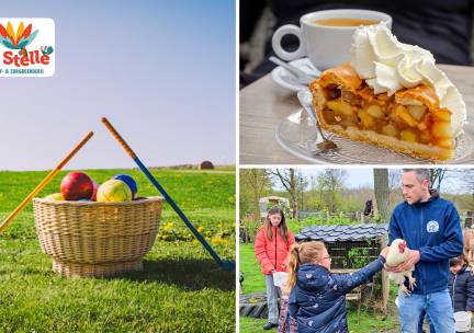 Boerengolf + koffie/thee/fris + appelgebak bij Beleefboerderij De Stelle
