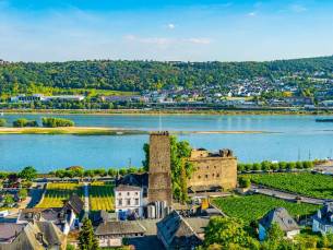 De Rijn en een vleugje Moezel met mps Rembrandt van Rijn