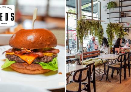 Burger naar keuze + friet bij Teds Rotterdam Lijnbaan