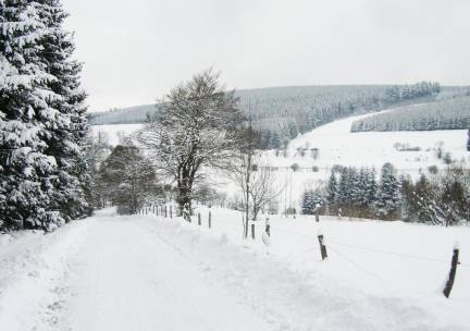 MEGADEAL! ???? 4-, 6- of 8-daagse vakantie naar Sauerland nabij Winterberg incl. ontbijt, ijsje & GRATIS gebruik van het OV!
