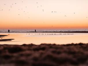 BEACHHOTEL direct aan het strand bij Haringvliet incl. ontbijt + GRATIS parkeren, DELUXE kamer & DAGENTREE Thermen Barendrecht!