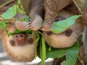 Costa Rica family fun