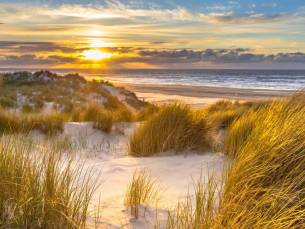 Ontdek de prachtige natuur op Waddeneiland Schiermonnikoog incl. ontbijt!