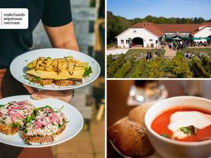 Lunch- en wijnproeverij + evt. fiets- en wandelroute