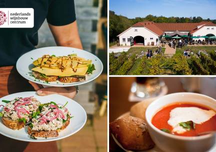 Lunch- en wijnproeverij + evt. fiets- en wandelroute