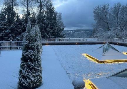 Waldhotel Luise