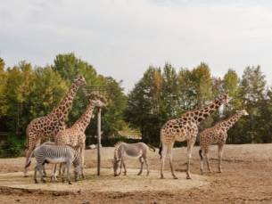 Vakantiepark Dierenbos