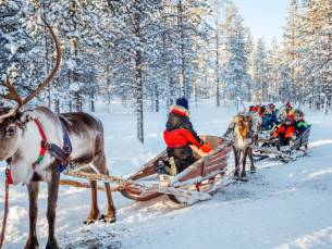 De ultieme Alles-in-1-Deal: FINS LAPLAND! ???? 8-dagen compleet verzorgd naar Fins Lapland incl. vlucht, bagage, 3(!) excursies t.w.v. &euro;331, eigen PRIVE SAUNA & meer!