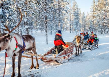 De ultieme Alles-in-1-Deal: FINS LAPLAND! ???? 8-dagen compleet verzorgd naar Fins Lapland incl. vlucht, bagage, 3(!) excursies t.w.v. &euro;331, eigen PRIVE SAUNA & meer!