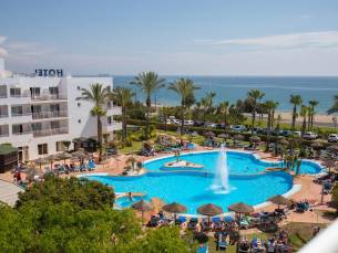 Best Oasis Tropical