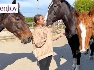 Paardencoaching (60 min)