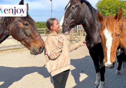 Paardencoaching (60 min)