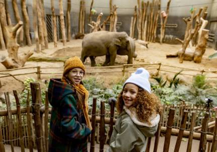 DierenPark Amersfoort