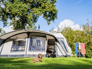 Kampeerterrein Woud - Comfortplaats max 8 meter (met huisdier)