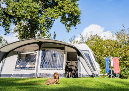 Kampeerterrein Woud - Comfortplaats max 8 meter (met huisdier)