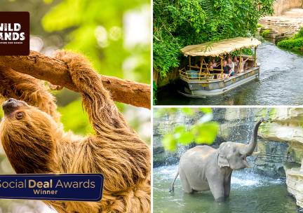 Dagentree voor WILDLANDS Adventure Zoo Emmen