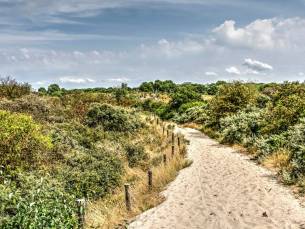 STUNT!⚡Verblijf tussen de duinen, bos en nabij het strand in Rockanje