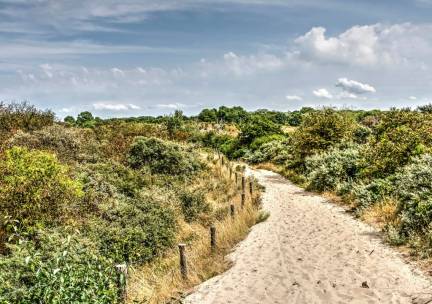 STUNT!⚡Verblijf tussen de duinen, bos en nabij het strand in Rockanje