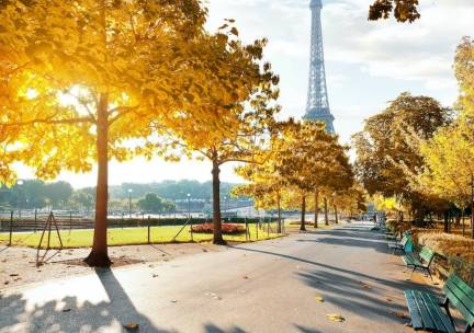Stedentrip Parijs: verblijf in de karakteristieke wijk Montmartre incl. ontbijt