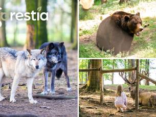 Entree voor dierentuin Forestia in de buurt van Spa