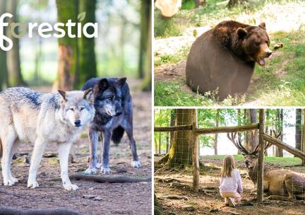 Entree voor dierentuin Forestia in de buurt van Spa