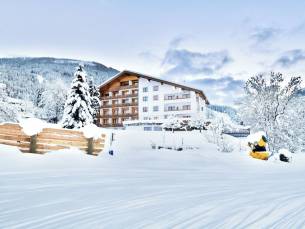 Hotel NockResort