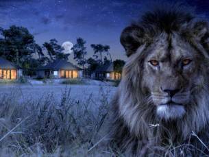 UNIEK OVERNACHTEN! ⚡️ Overnacht in een luxe (Savanne) Lodge met SAUNA tussen de wilde dieren op Safari Resort Beekse Bergen