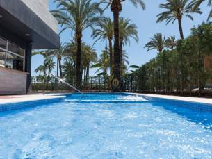 El Palmeral