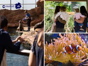 Entree Nausica&aacute;, het grootste aquarium van Europa