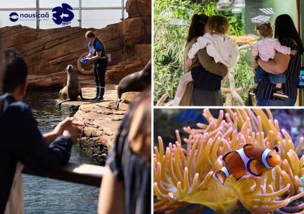 Entree Nausica&aacute;, het grootste aquarium van Europa