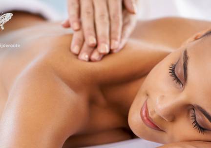 Massage naar keuze (60 of 65 min) in Amsterdam